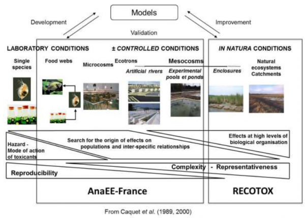 Interactions entre AnaEE-France et RECOTOX