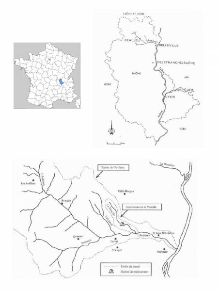 Localisation du site Ardières-Morcille de la Zone Atelier Bassin du Rhône  (source : https://saam.irstea.fr/)